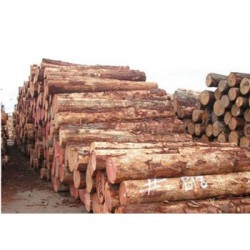 广西收购松木企业一览表